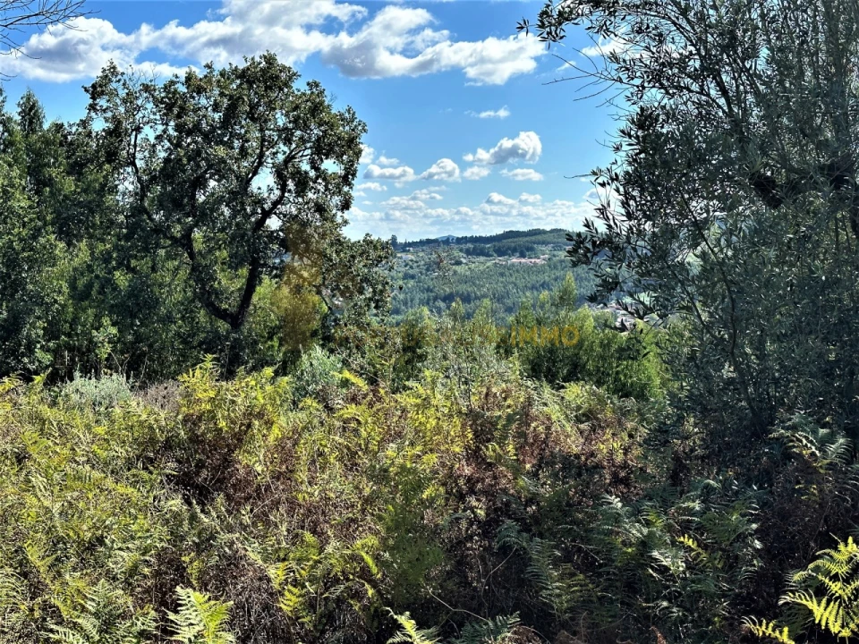 Terreno para Venda em Beco Foto 32