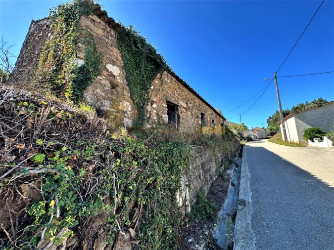 Terreno para Venda em Beco Foto 5