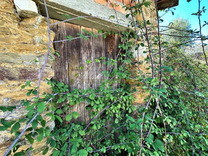 Terreno para Venda em Beco Foto 25