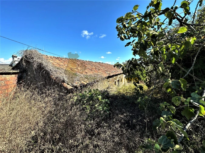 Terreno para Venda em Beco Foto 27
