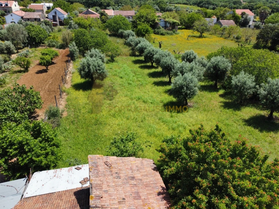 Moradia T2 para Venda em Chãos Foto 25