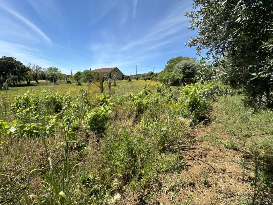 Moradia T2 para Venda em Chãos Foto 26