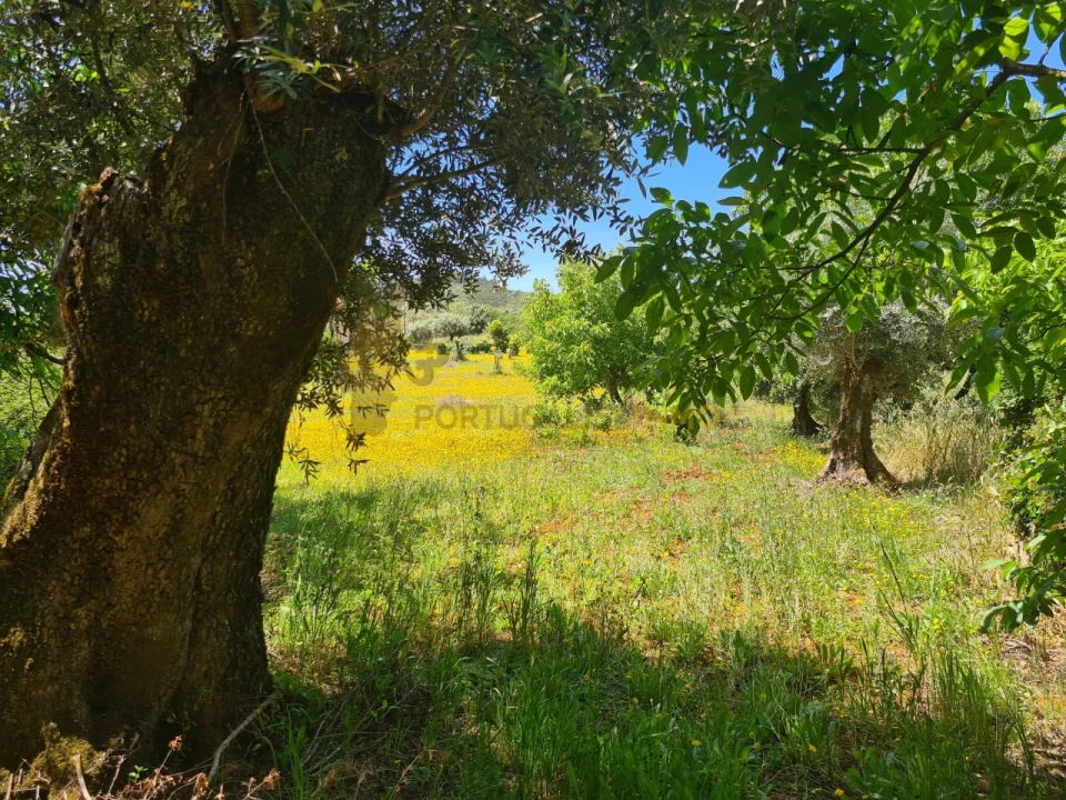 Moradia T2 para Venda em Chãos Foto 46