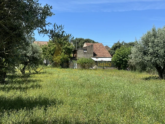 Moradia T2 para Venda em Chãos Foto 3