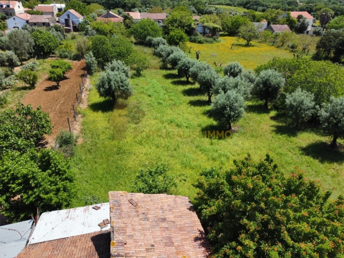 Moradia T2 para Venda em Chãos Foto 25