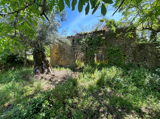 Moradia T2 para Venda em Chãos Foto 39