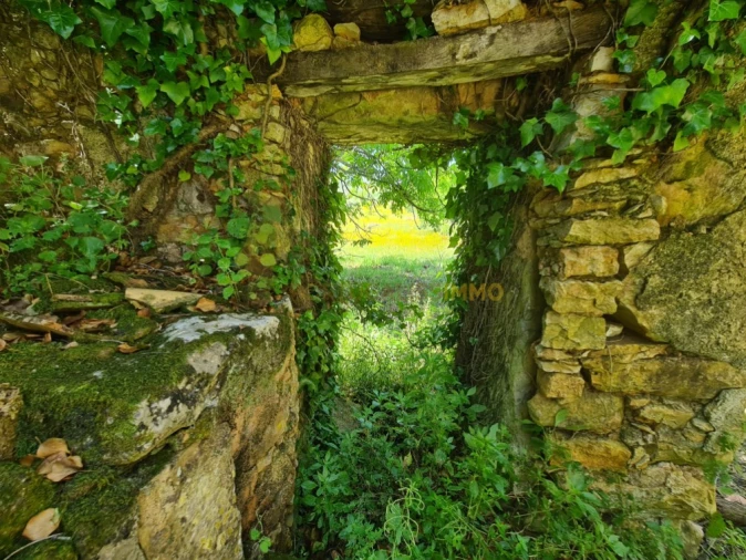 Moradia T2 para Venda em Chãos Foto 40