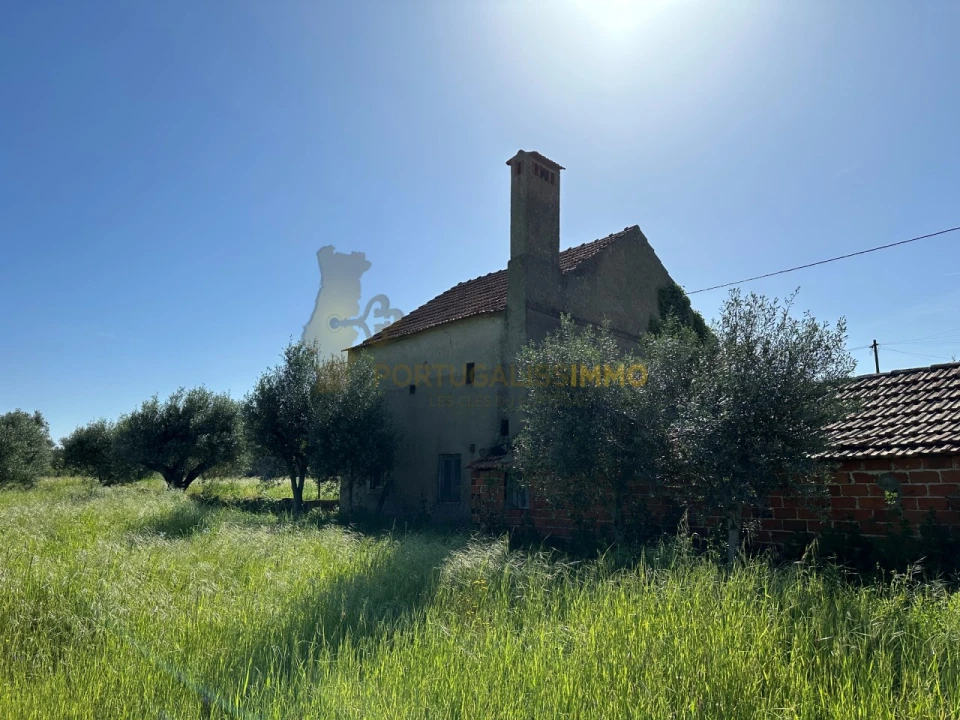 Moradia T2 para Venda em Chãos Foto 30