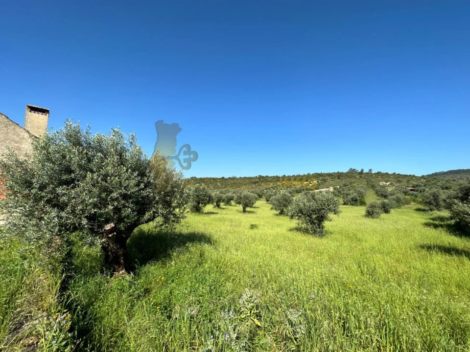 Moradia T2 para Venda em Chãos Foto 35