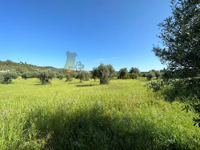 Moradia T2 para Venda em Chãos Foto 34