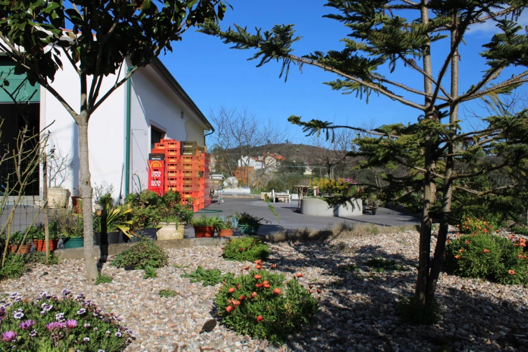 Negócio para Venda em Além da Ribeira e Pedreira Foto 13