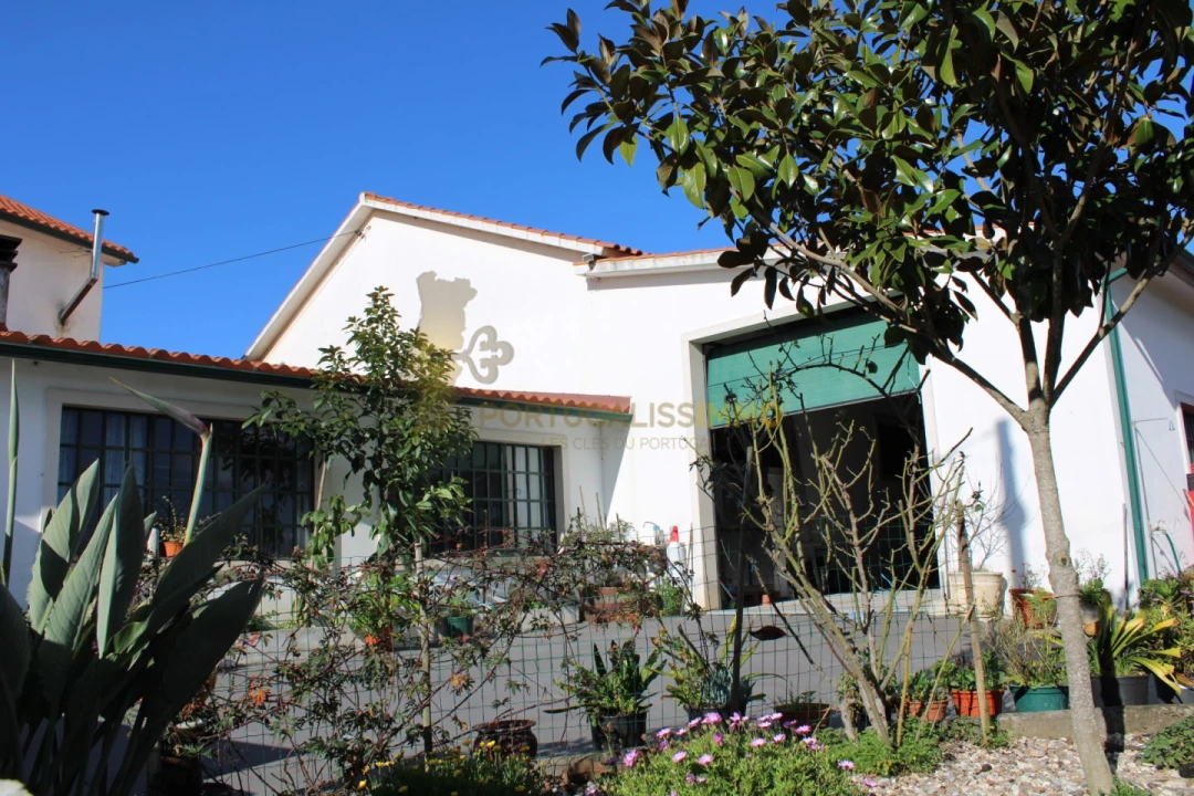 Negócio para Venda em Além da Ribeira e Pedreira Foto 14