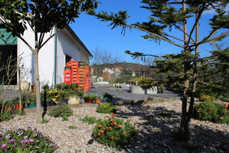 Negócio para Venda em Além da Ribeira e Pedreira Foto 13