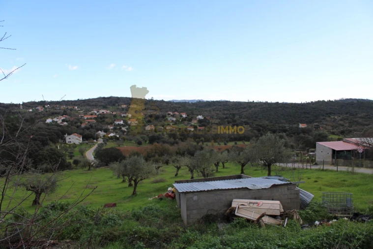 Negócio para Venda em Além da Ribeira e Pedreira Foto 28