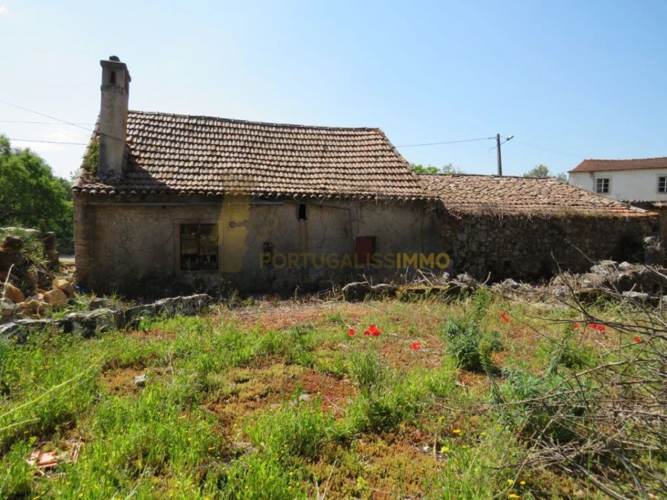 Quinta T3 para Venda em Chãos Foto 2