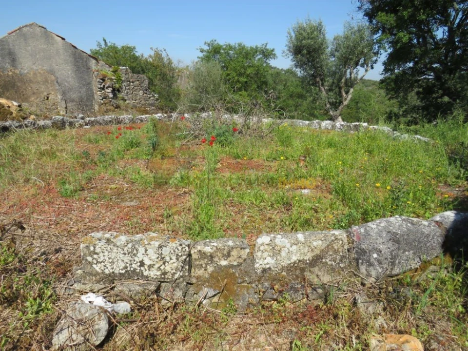 Quinta T3 para Venda em Chãos Foto 3
