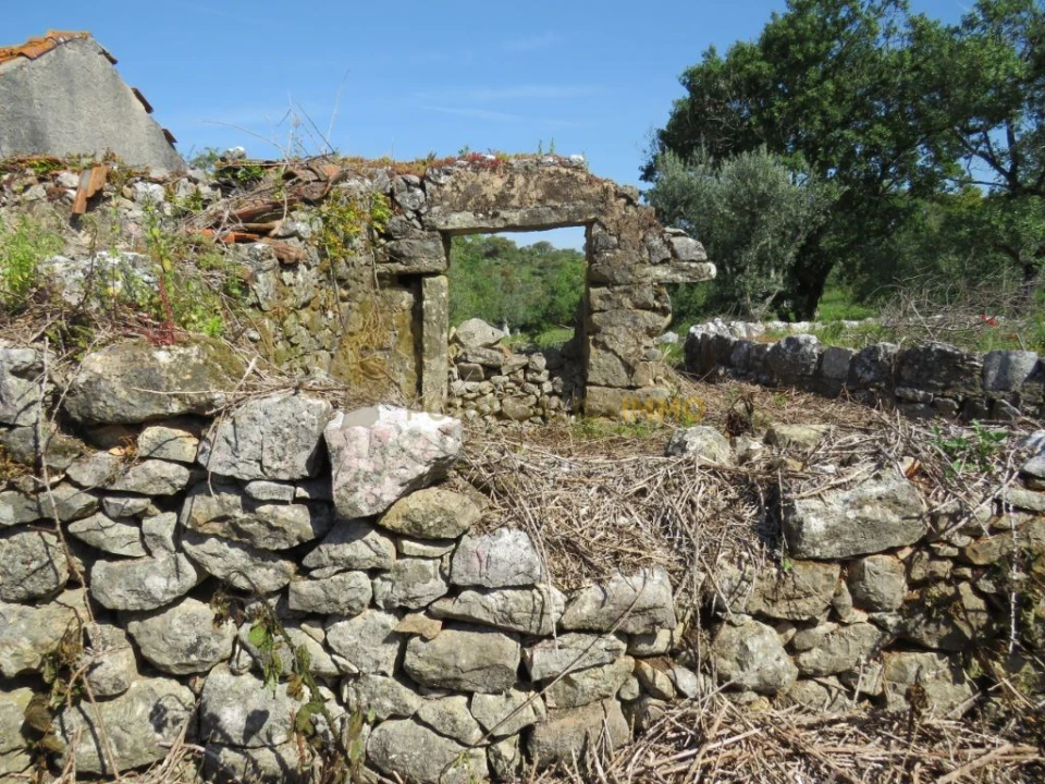 Quinta T3 para Venda em Chãos Foto 5