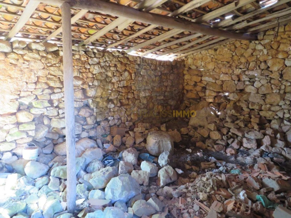 Quinta T3 para Venda em Chãos Foto 9