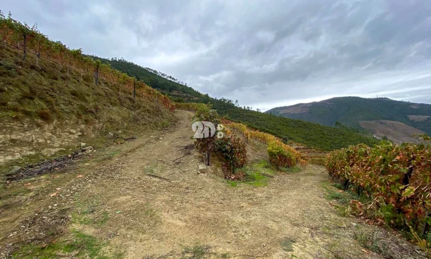 Terreno Agricola ou Rústico para Venda em Vila Seca e Santo Adrião Foto 8