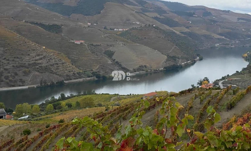 Terreno Agricola ou Rústico para Venda em Vila Seca e Santo Adrião Foto 1