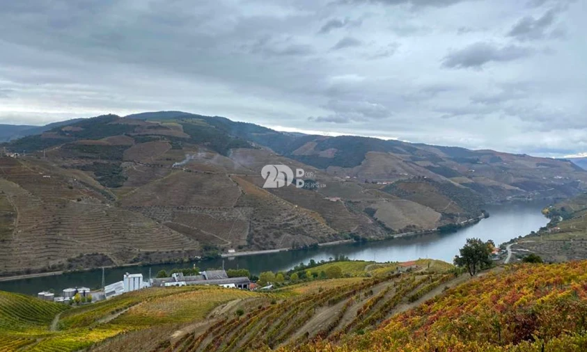 Terreno Agricola ou Rústico para Venda em Vila Seca e Santo Adrião Foto 6