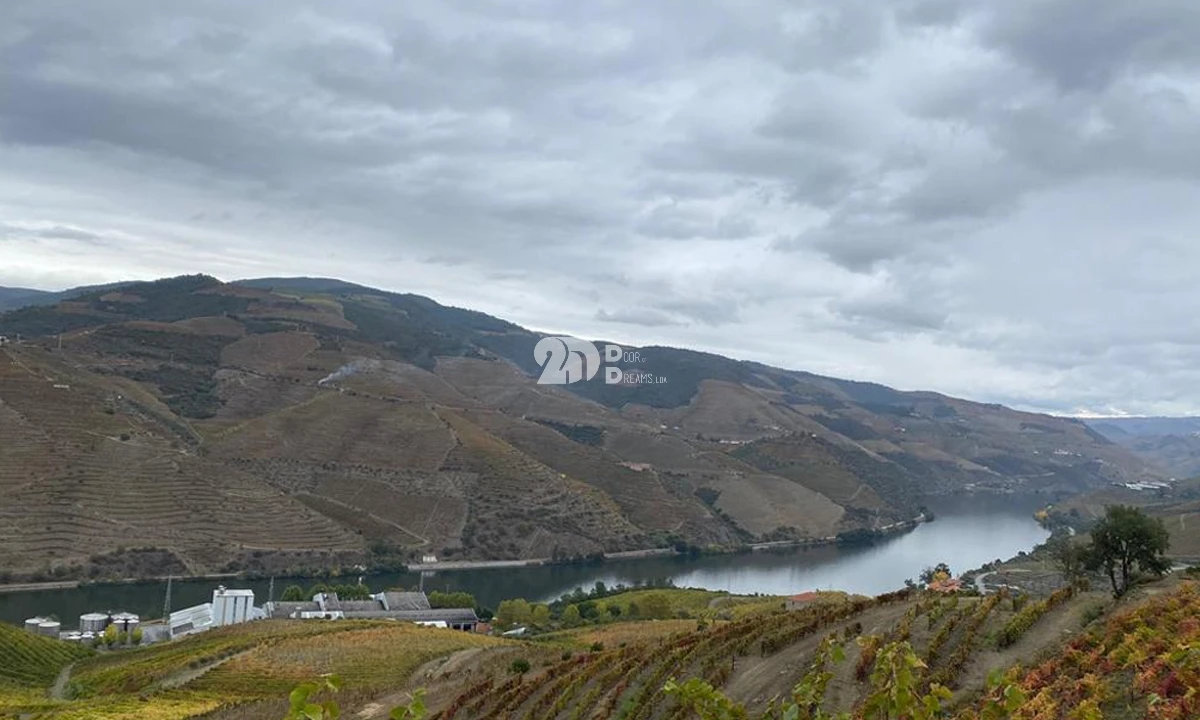 Terreno Agricola ou Rústico para Venda em Vila Seca e Santo Adrião Foto 10