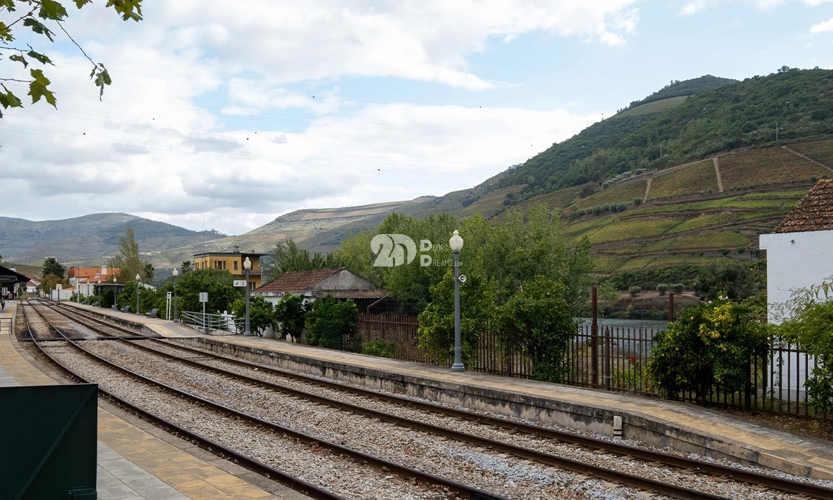Loja para Venda em Pinhão Foto 14