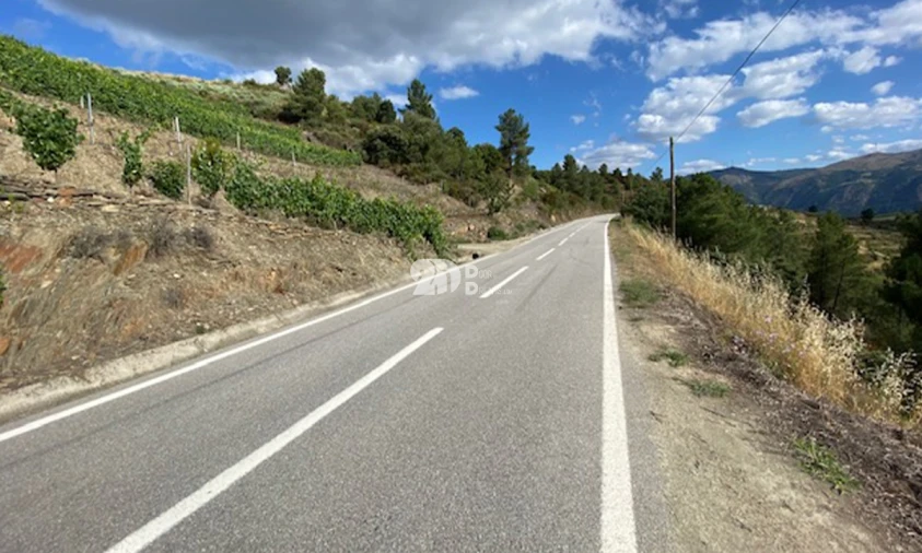 Terreno para Venda em Valença do Douro Foto 17