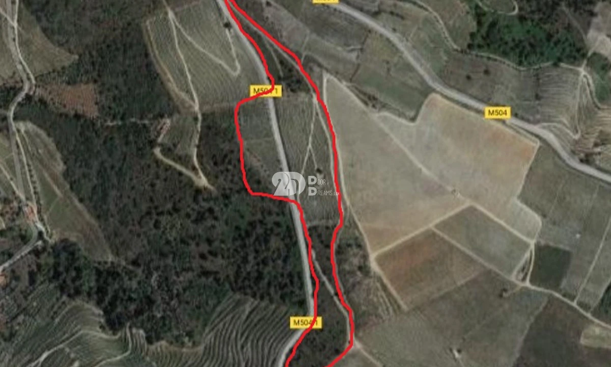 Terreno para Venda em Valença do Douro Foto 18