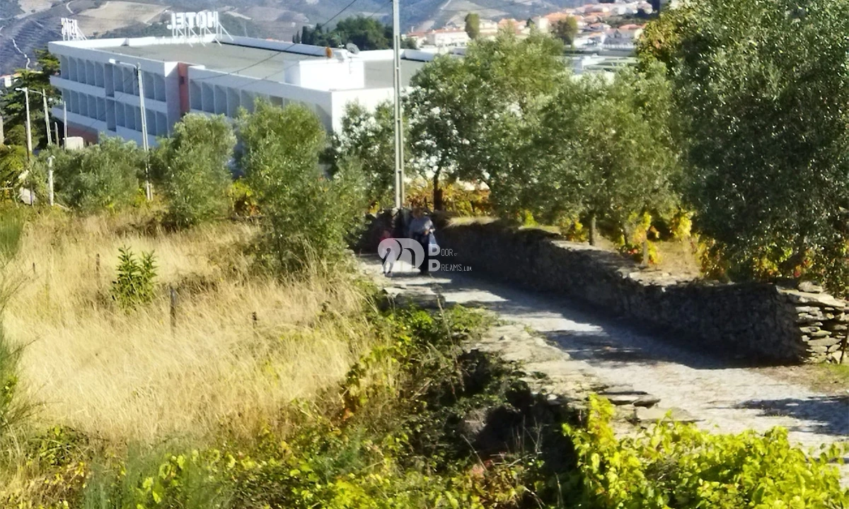 Terreno para Venda em Barcos e Santa Leocádia Foto 5