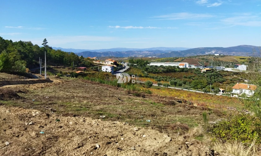 Terreno para Venda em Barcos e Santa Leocádia Foto 1