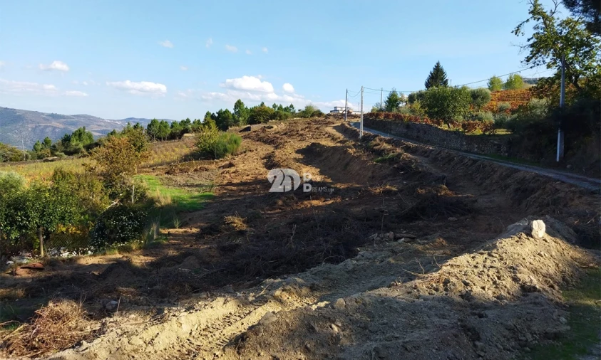 Terreno para Venda em Barcos e Santa Leocádia Foto 2