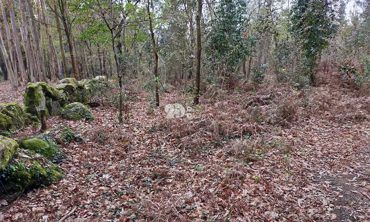 Terreno para Venda em Areias, Sequeirô, Lama e Palmeira Foto 1