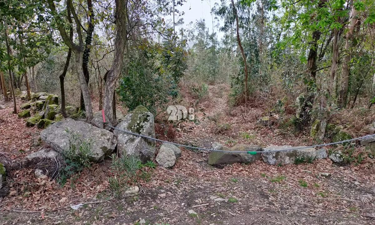 Terreno para Venda em Areias, Sequeirô, Lama e Palmeira Foto 4