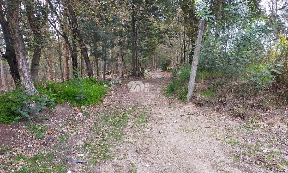 Terreno para Venda em Areias, Sequeirô, Lama e Palmeira Foto 8