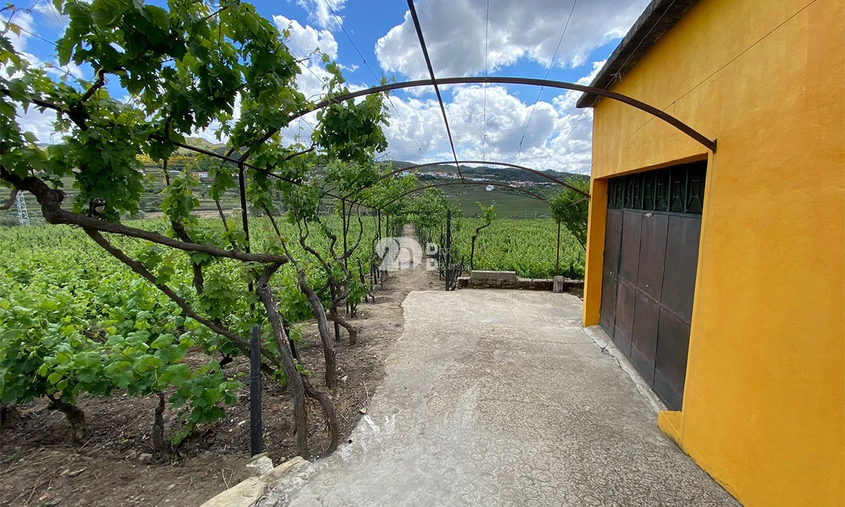 Terreno para Venda em Barcos e Santa Leocádia Foto 4