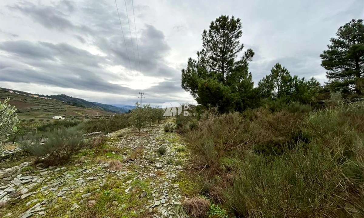 Terreno Agricola ou Rústico para Venda em Barcos e Santa Leocádia Foto 9