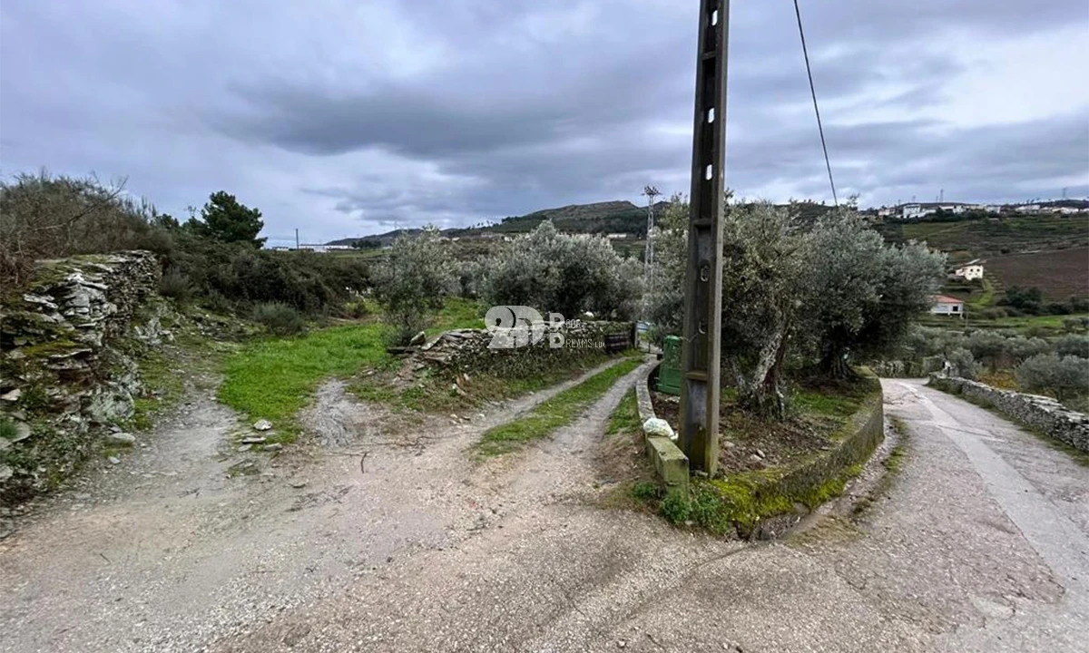 Terreno Agricola ou Rústico para Venda em Barcos e Santa Leocádia Foto 10