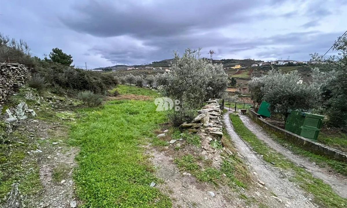 Terreno Agricola ou Rústico para Venda em Barcos e Santa Leocádia Foto 2