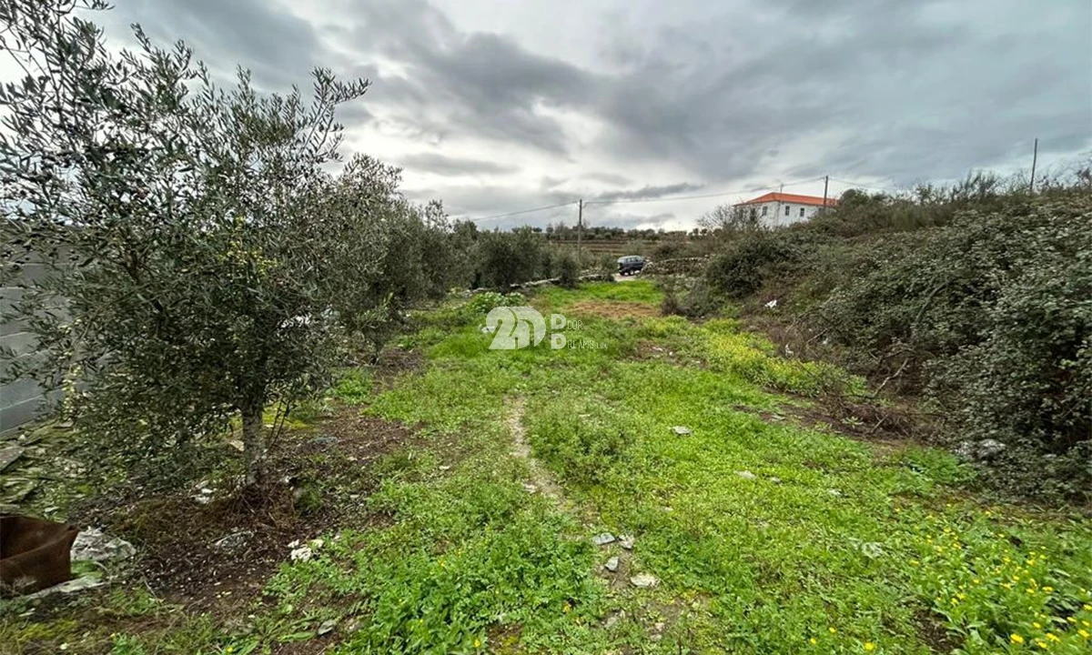 Terreno Agricola ou Rústico para Venda em Barcos e Santa Leocádia Foto 5