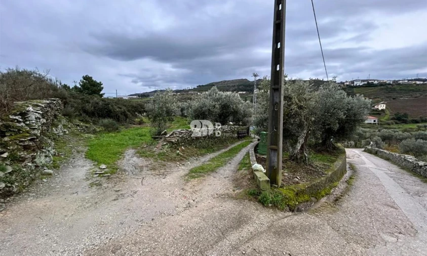 Terreno Agricola ou Rústico para Venda em Barcos e Santa Leocádia Foto 10
