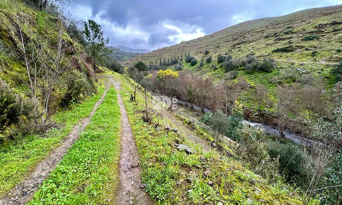 Terreno Agricola ou Rústico para Venda em Tabuaço Foto 24