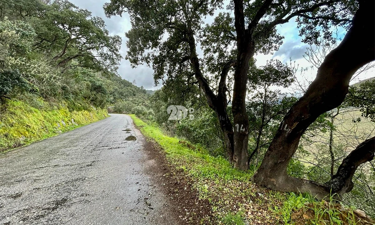 Terreno Agricola ou Rústico para Venda em Tabuaço Foto 6