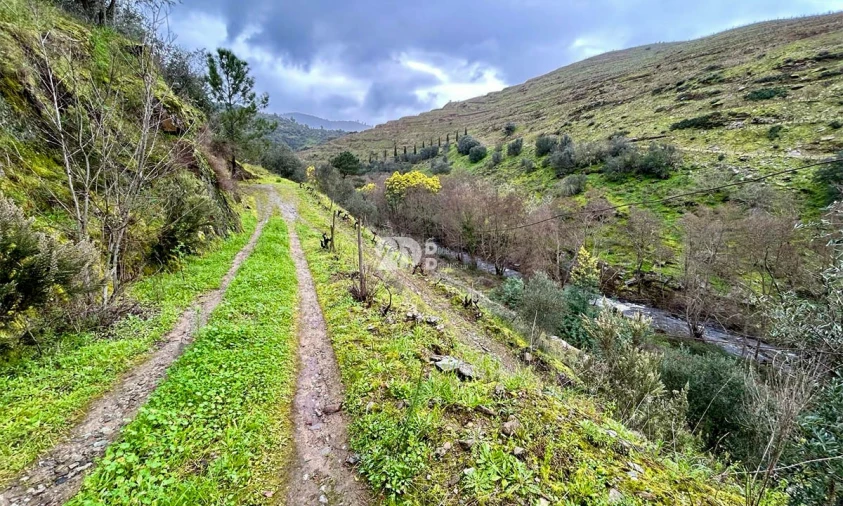 Terreno Agricola ou Rústico para Venda em Tabuaço Foto 24