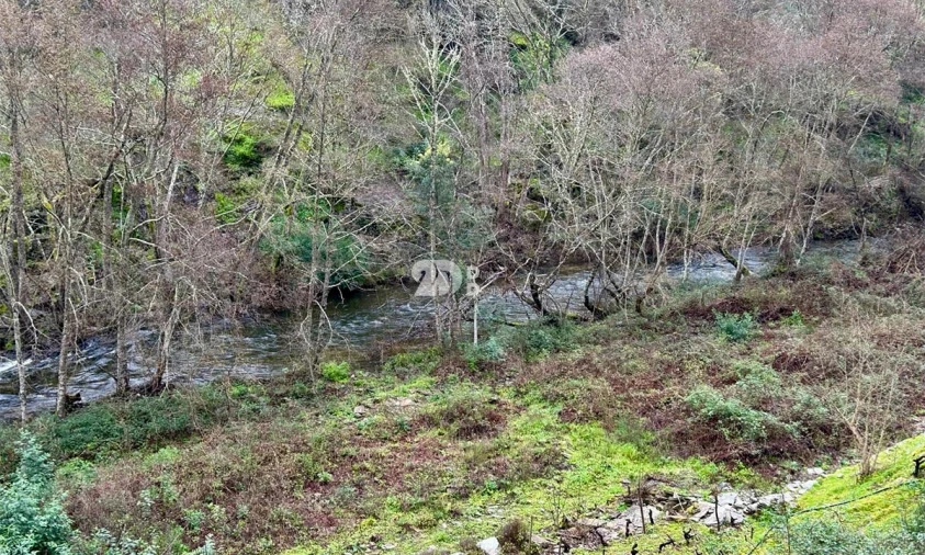 Terreno Agricola ou Rústico para Venda em Tabuaço Foto 34