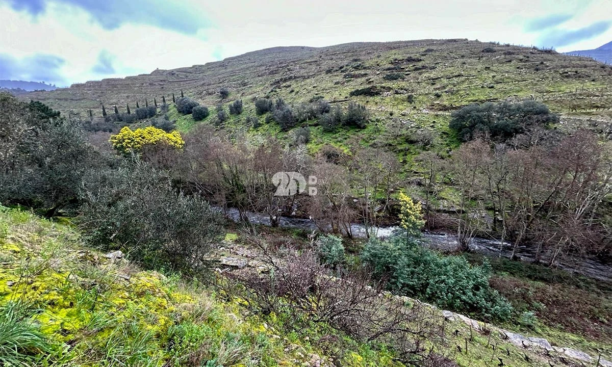 Terreno Agricola ou Rústico para Venda em Tabuaço Foto 27