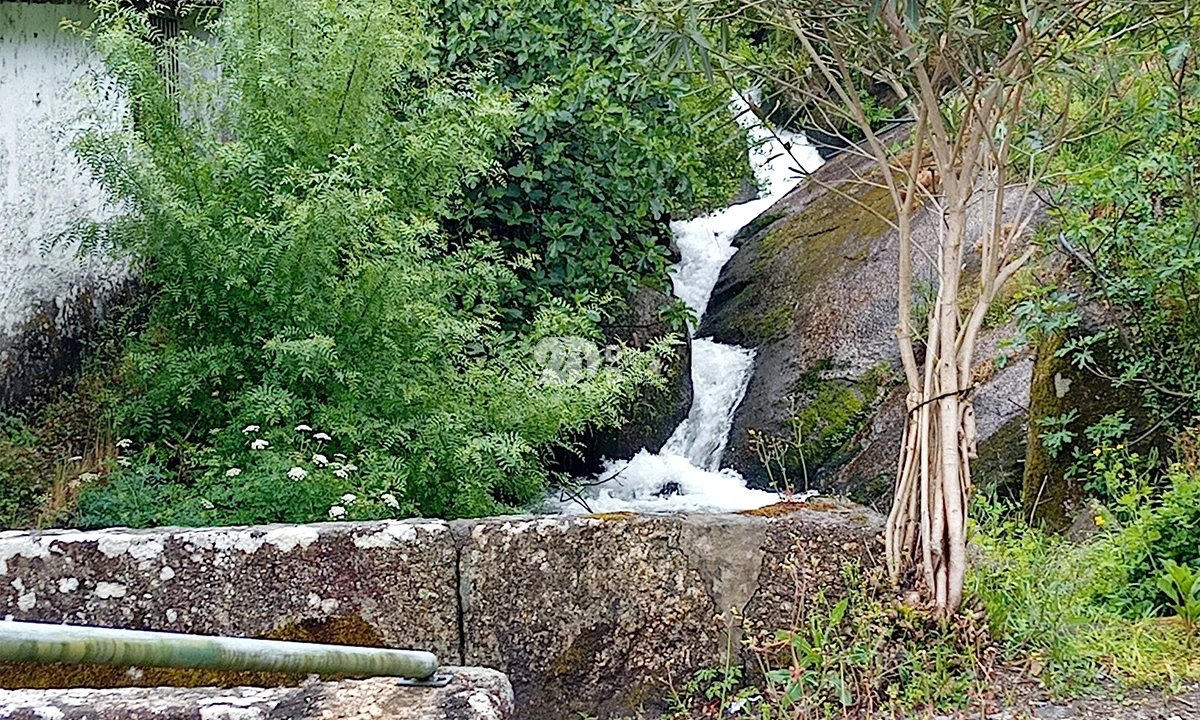 Terreno para Venda em Arnoso (Santa Maria e Santa Eulália) e Sezures Foto 10