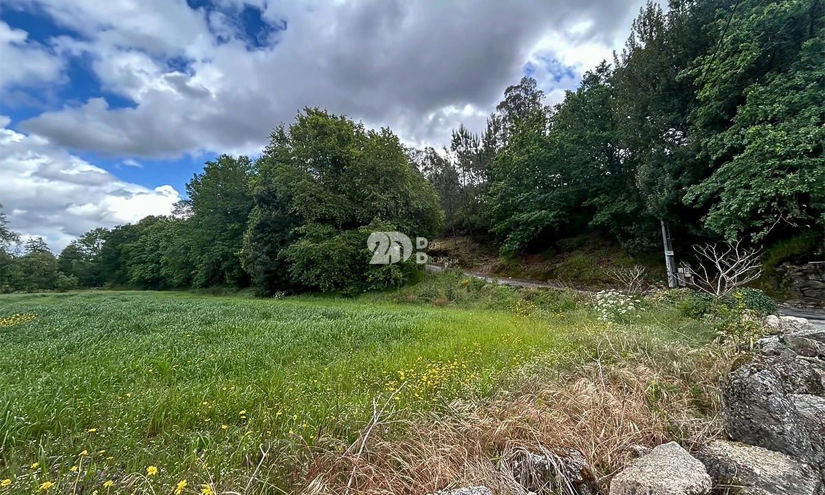 Terreno para Venda em Arnoso (Santa Maria e Santa Eulália) e Sezures Foto 2