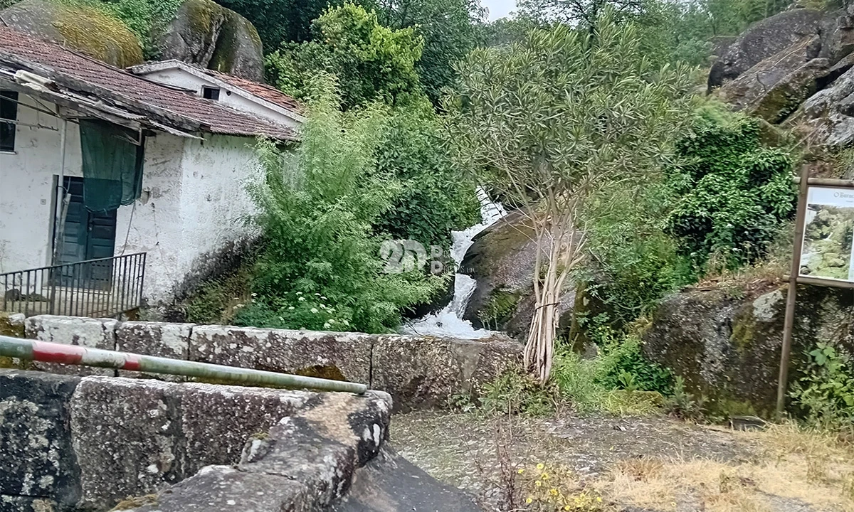 Terreno para Venda em Arnoso (Santa Maria e Santa Eulália) e Sezures Foto 9