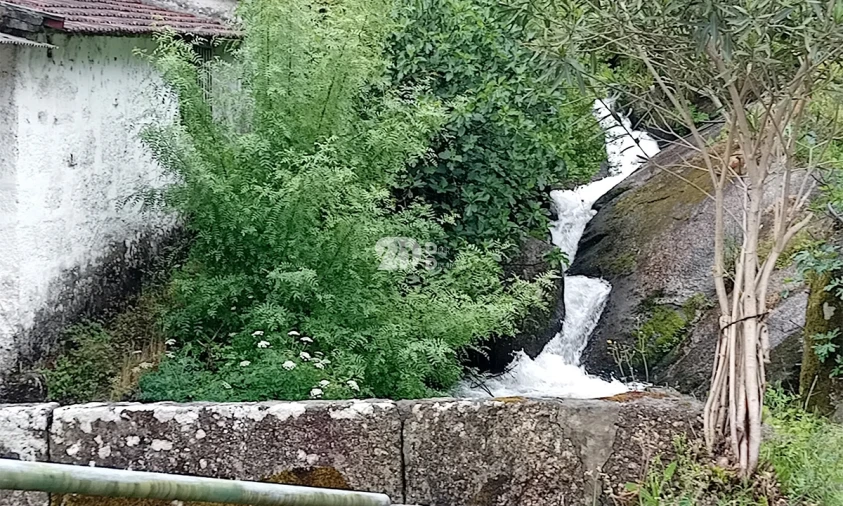 Terreno para Venda em Arnoso (Santa Maria e Santa Eulália) e Sezures Foto 8